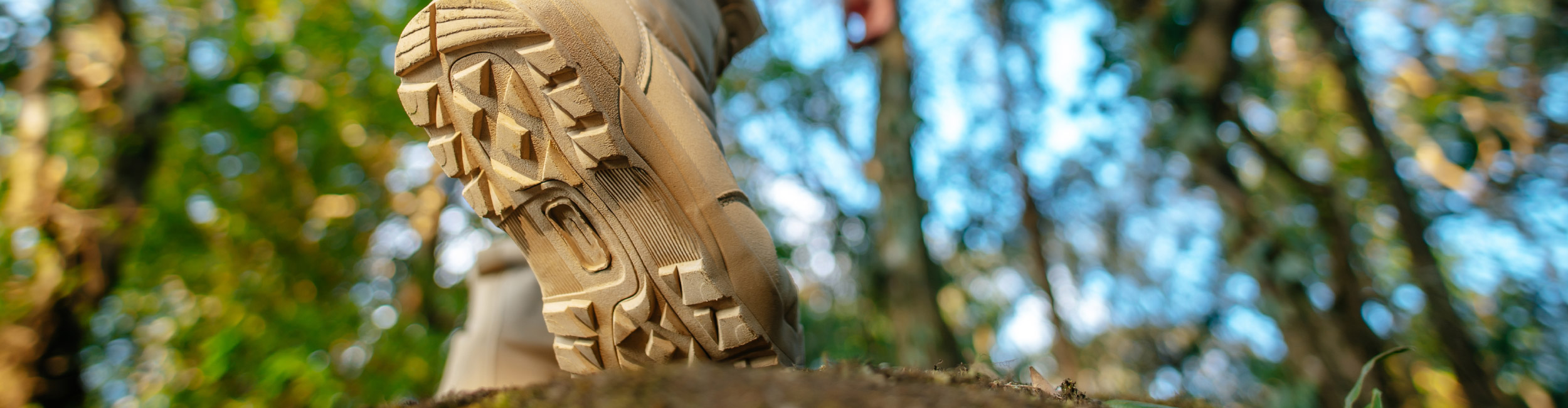 Wanderungen in der Umgebung des Wellnesshotels Jagdhof, Bayerischer Wald