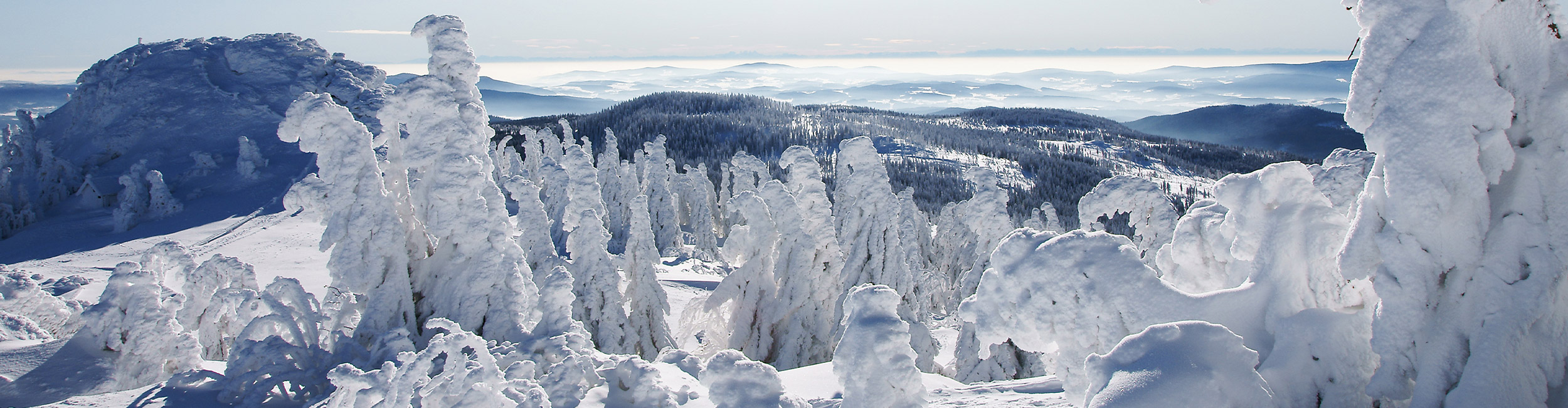 Wintersport genießen im Bayerischen Wald, Wellnesshotel Jagdhof