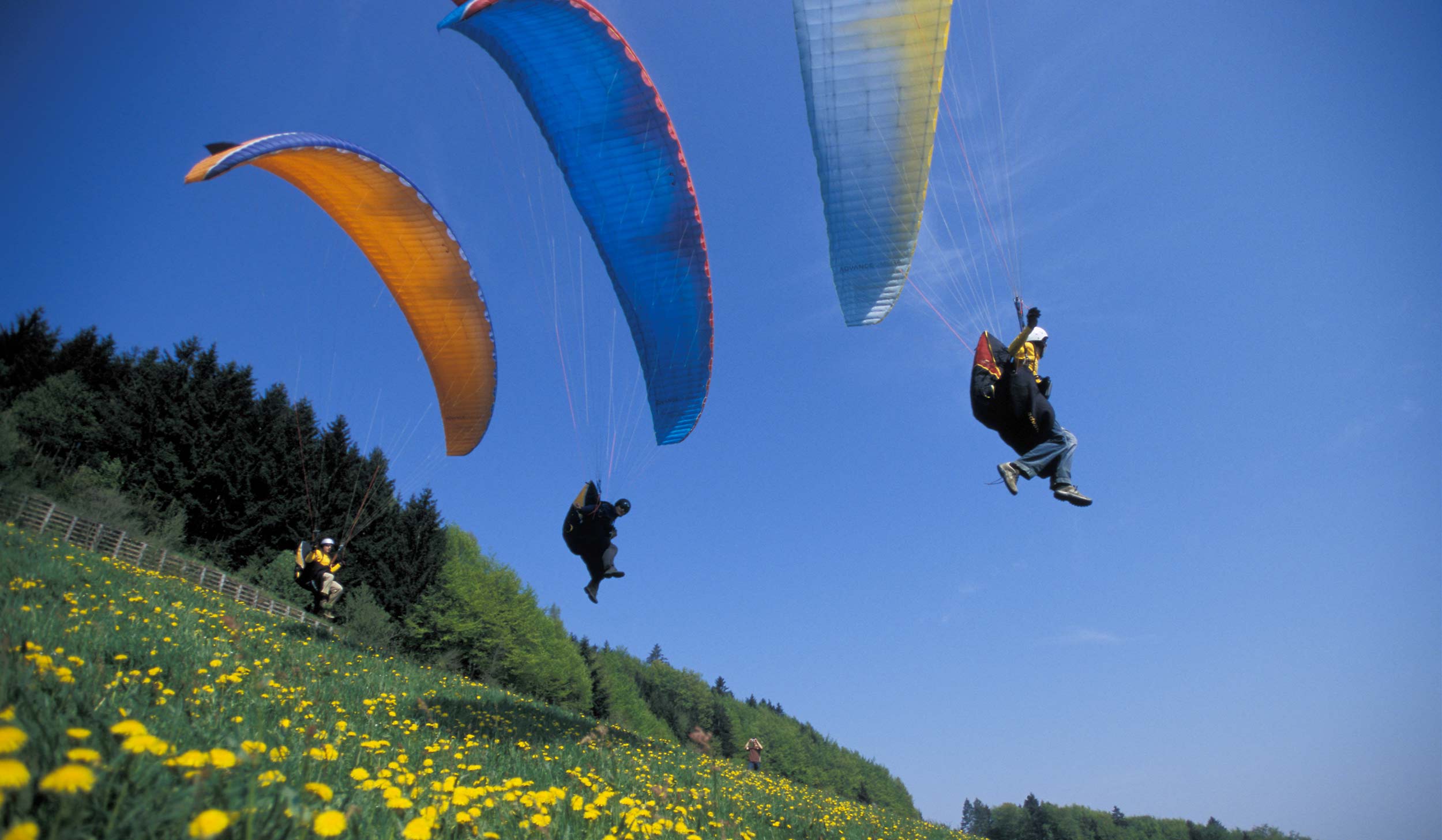 Gleitschirm fliegen im Bayerischen Wald