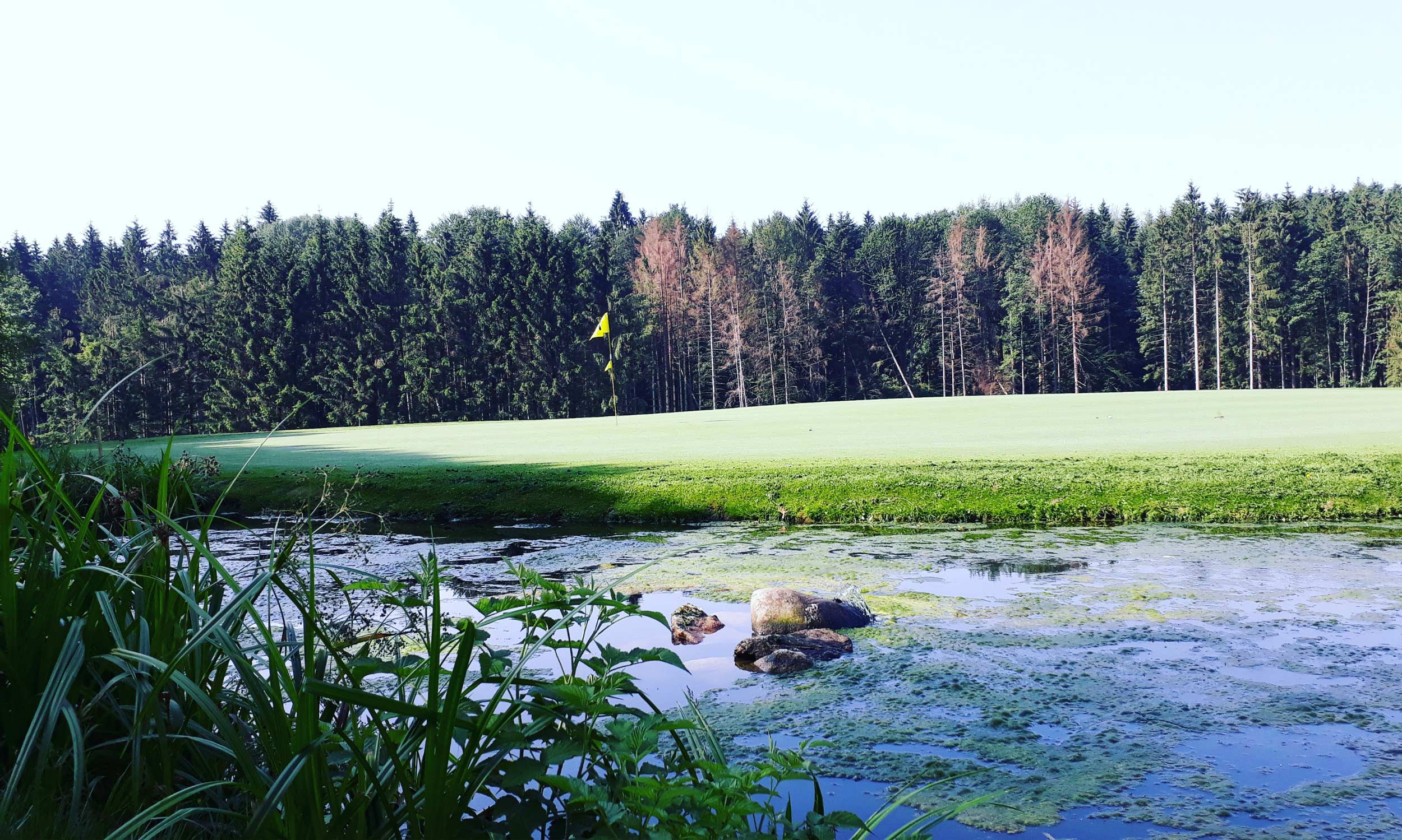 Golfen inmitten Bayerns herrlicher Natur