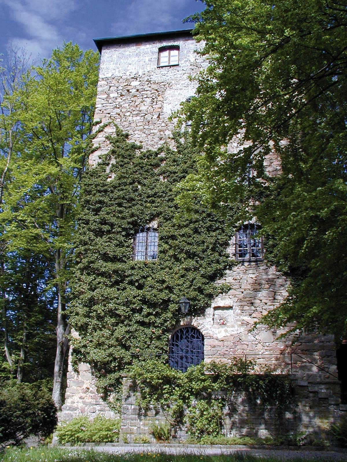 Burg Kaltenstein